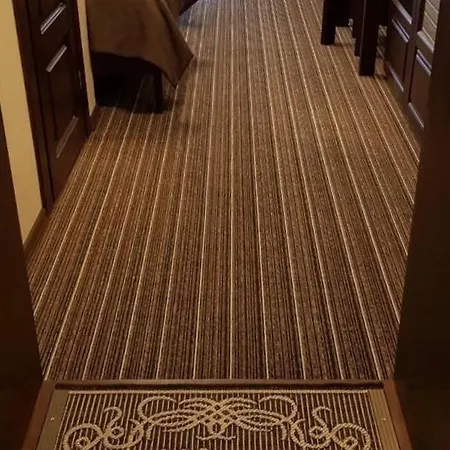 Hotell Grofa Vas *